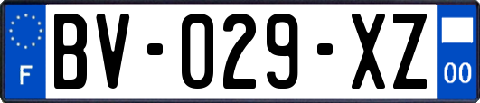 BV-029-XZ