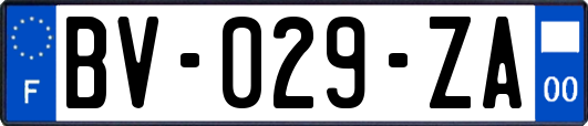 BV-029-ZA