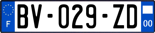 BV-029-ZD