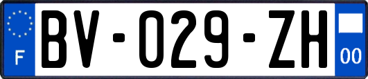 BV-029-ZH