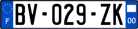 BV-029-ZK