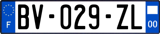 BV-029-ZL