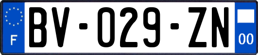 BV-029-ZN