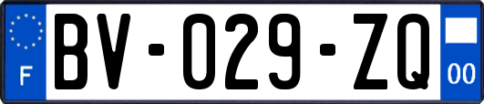 BV-029-ZQ