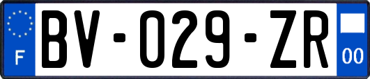 BV-029-ZR