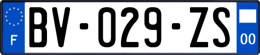 BV-029-ZS