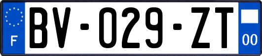 BV-029-ZT