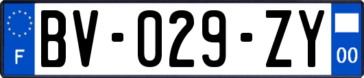 BV-029-ZY