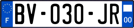 BV-030-JR