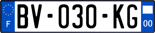 BV-030-KG