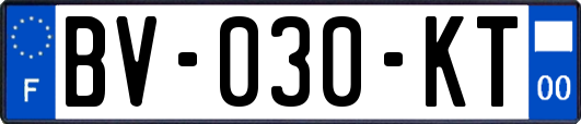 BV-030-KT