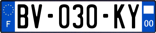 BV-030-KY