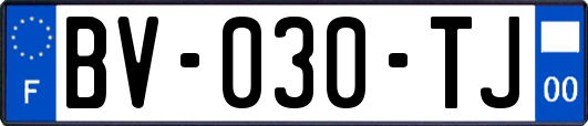 BV-030-TJ