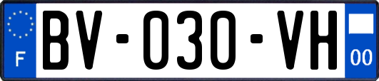 BV-030-VH