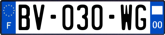 BV-030-WG