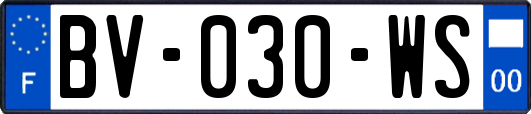 BV-030-WS