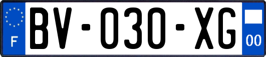 BV-030-XG