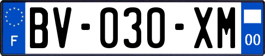 BV-030-XM