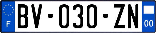 BV-030-ZN