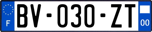 BV-030-ZT