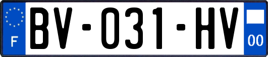 BV-031-HV