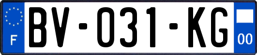 BV-031-KG