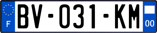 BV-031-KM