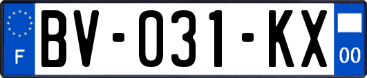 BV-031-KX