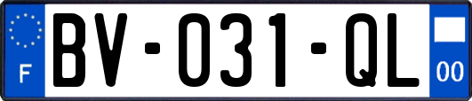 BV-031-QL