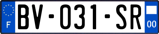 BV-031-SR