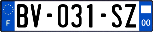 BV-031-SZ