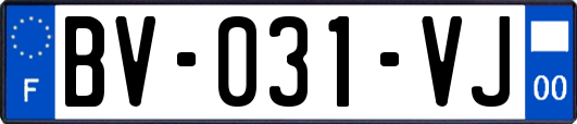 BV-031-VJ