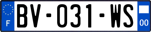 BV-031-WS