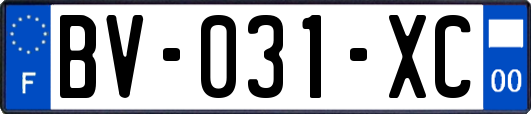 BV-031-XC