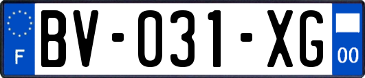 BV-031-XG