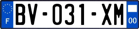 BV-031-XM