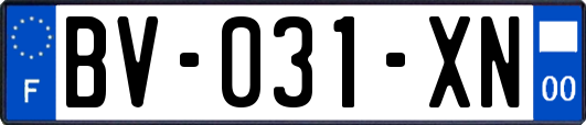 BV-031-XN