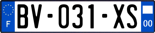 BV-031-XS