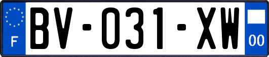 BV-031-XW