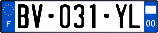 BV-031-YL