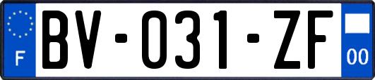 BV-031-ZF