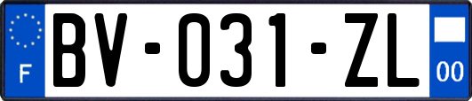 BV-031-ZL