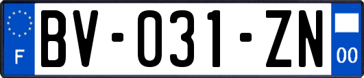 BV-031-ZN