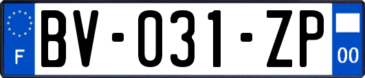 BV-031-ZP