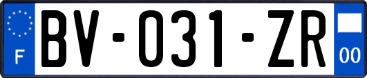 BV-031-ZR