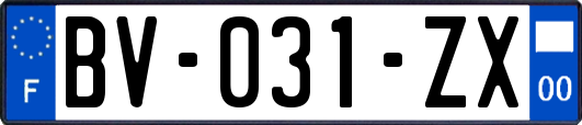 BV-031-ZX