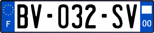 BV-032-SV