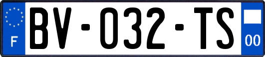 BV-032-TS