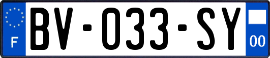 BV-033-SY