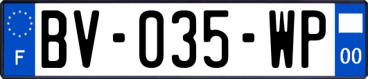 BV-035-WP